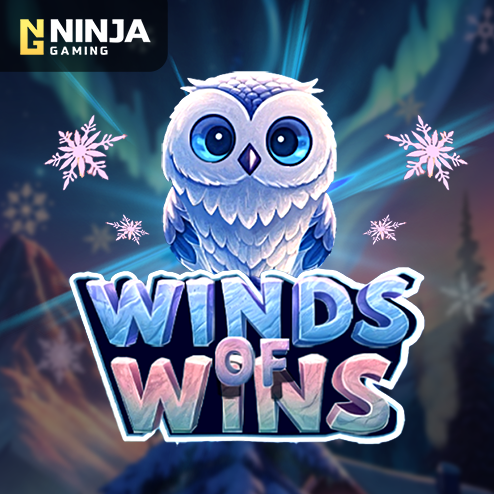 https://b3ti-cdn3-platform.cdn-in-flare.com/resources//media/games_images//ninja_gaming/Wind_Of_Wins_14567.png